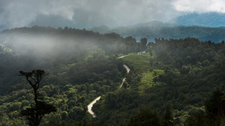 Places to visit in Bhutan 7 41